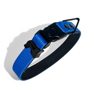 Royal Blue Dog Collar: Handmade Canvas & Leather with Black Hardware