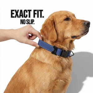 Precision Fit Dog Collar – No Slip Exact Sizing with Dog Head Lock