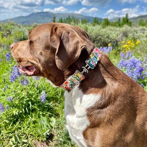 Unique Personalized Canvas Dog Collar: Custom Engraved, Leather Lined