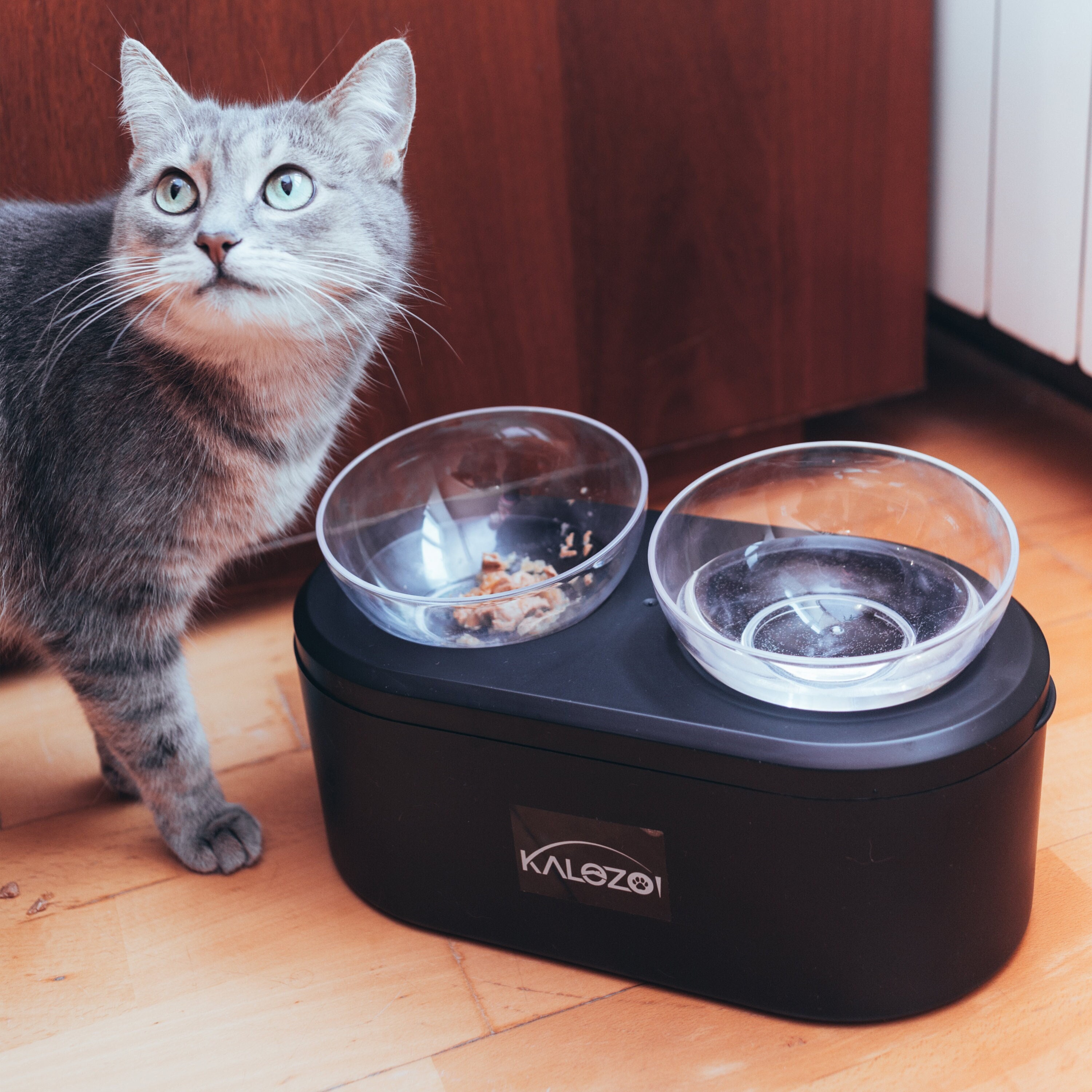 Kalozoi Premium Double Pet Bowls With Storage Antivomiting Etsy