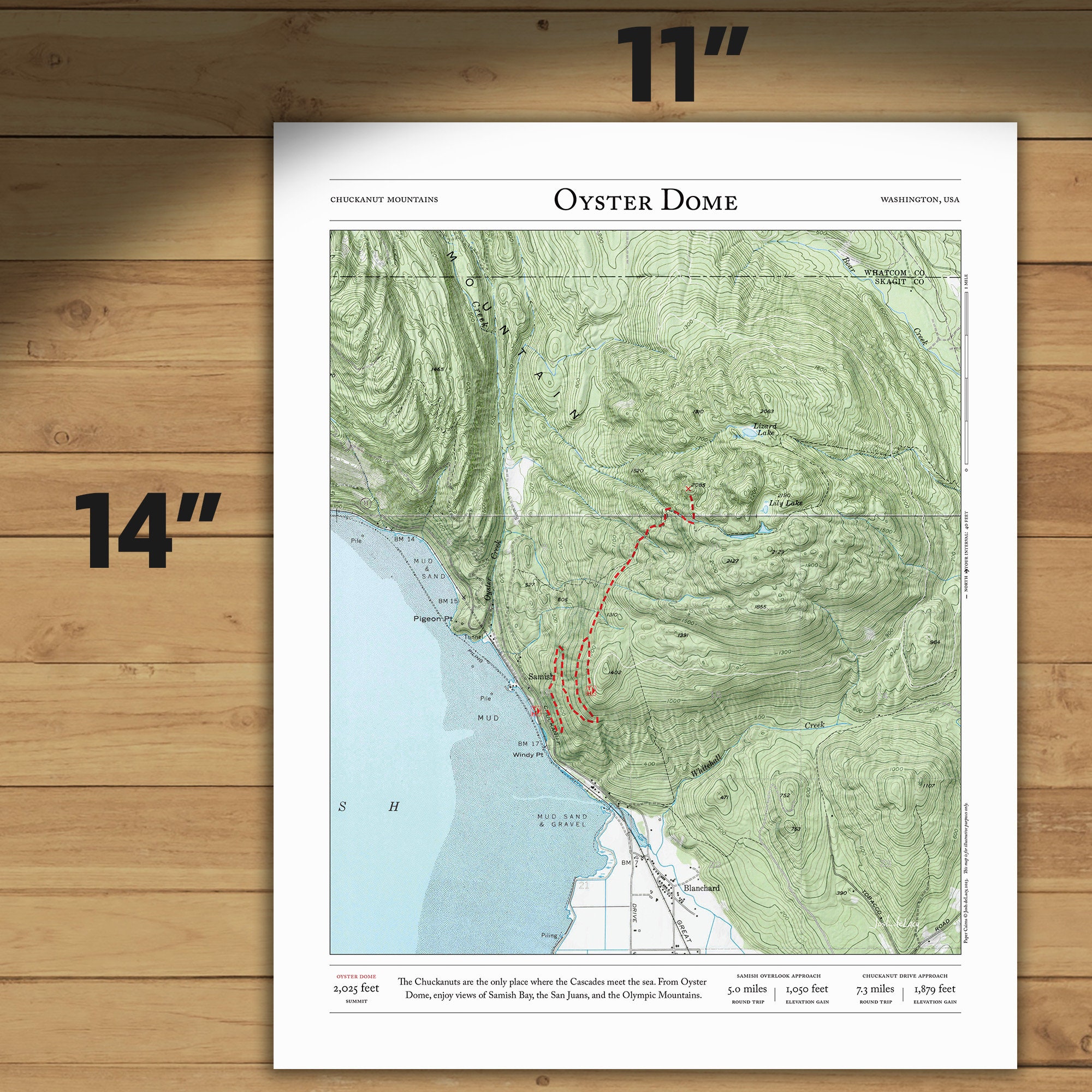 Oyster Dome Trail Map Chuckanut Mountains WA Framed Print Etsy