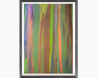 May include: Framed art print showing a close-up of a rainbow eucalyptus tree trunk. The bark has vertical stripes of green, orange, brown, and purple. The artwork is framed in a black frame with a white mount.