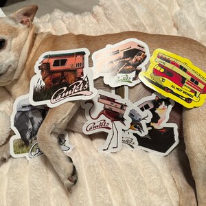 All (4) CamPet Series 1 and all (3) Series 2 - 4 Inch Stickers (Not the dog Sophie, she stays)