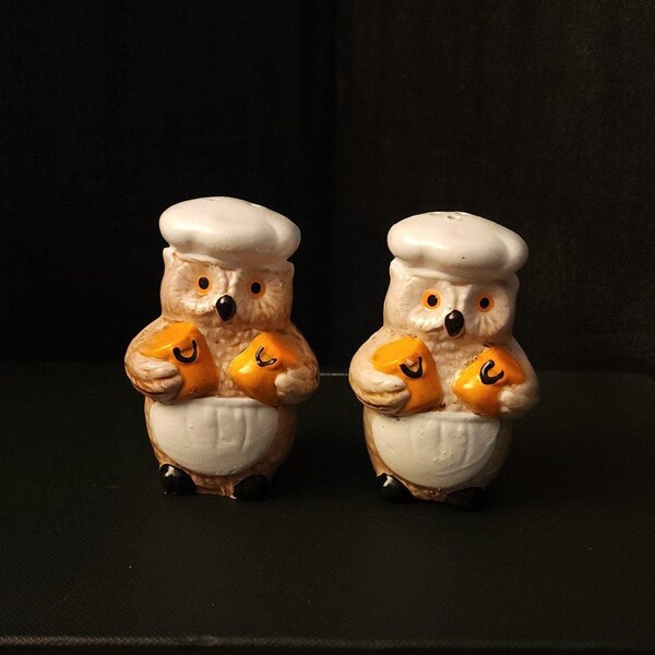 Vintage Owl Baker Cap Apron holding Canisters Salt and Pepper Shakers