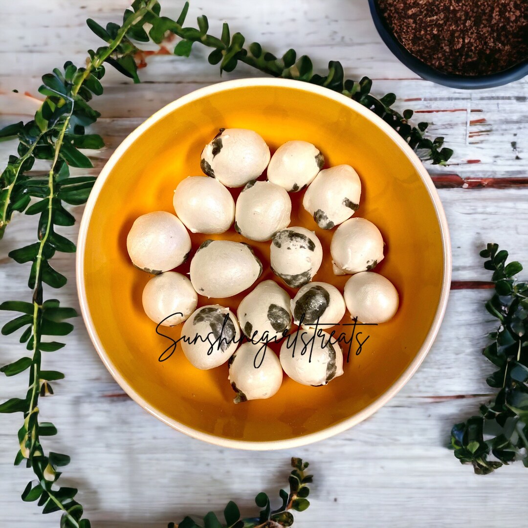 Freeze Dried Black Licorice Taffy/freeze Dried Etsy