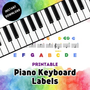 Piano Keyboard Stickers for Beginners Removable Piano Stickers for keys  88/61/54/49/37, Colorful Larger Letter Key Note Stickers for Kids Learning