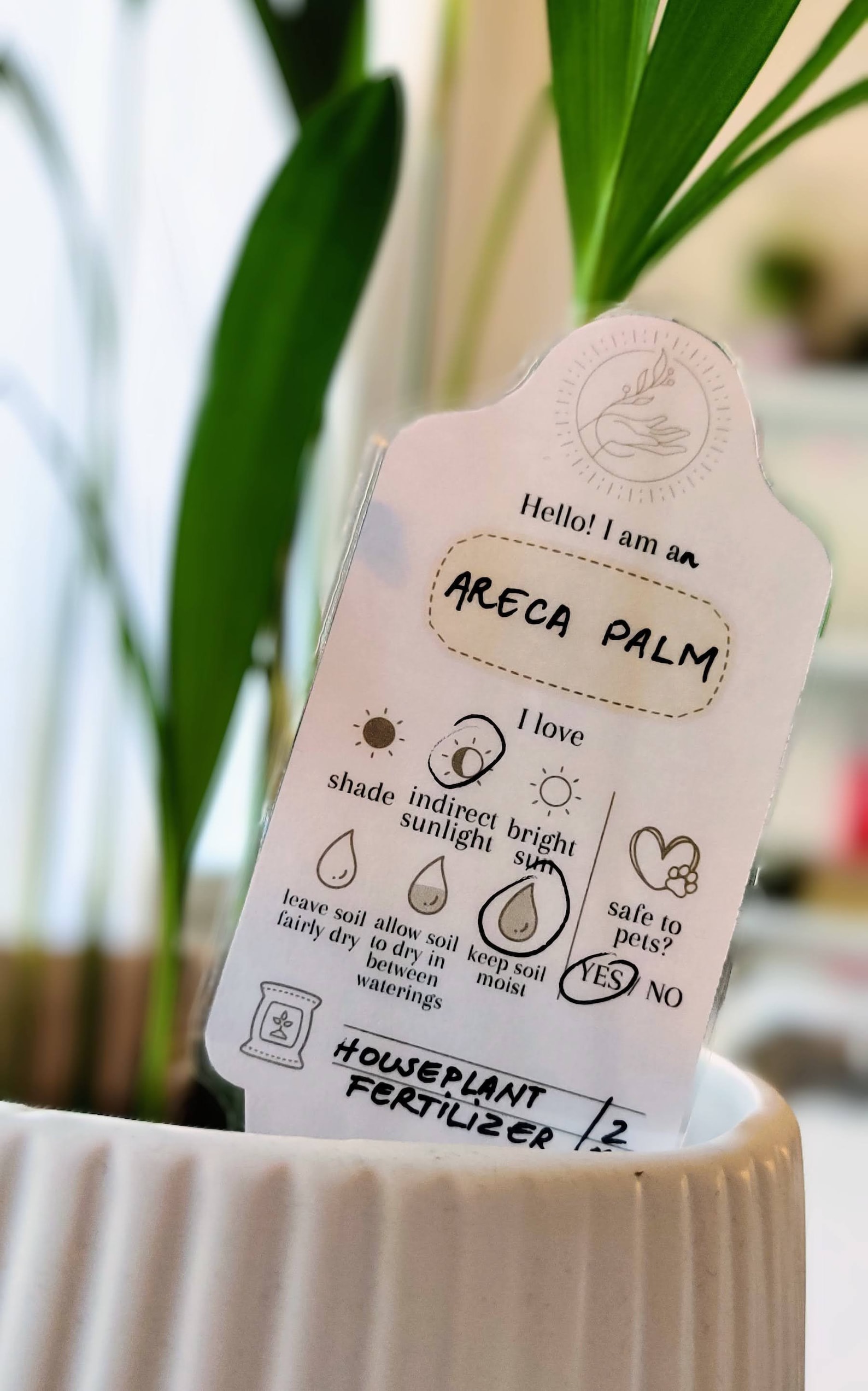 Plant Care Labels Plant Passport Instructions Card Etsy