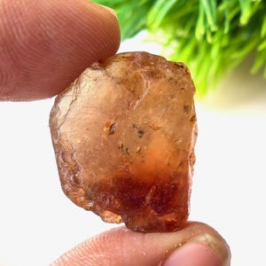 Puede incluir: Una gema en bruto de color ámbar, sostenida entre los dedos. La piedra tiene una superficie rugosa e irregular con una calidad translúcida, que permite el paso de la luz. Se ven pequeñas inclusiones oscuras dentro de la piedra. El fondo está borroso, con follaje verde.