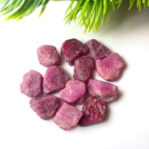 Puede incluir: Una colección de once piedras preciosas de rubí en bruto y sin pulir con un tono magenta intenso y rojo rosado. Cada piedra presenta una forma irregular y dentada con una superficie mate y texturizada, mostrando formaciones cristalinas naturales.