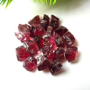 20 Raw Garnet Crystals (9-12MM): Natural Rough Gemstones