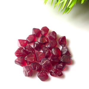 May include: A collection of small, loose, deep red garnet gemstones with irregular, faceted shapes. The stones exhibit a translucent quality and a polished surface, clustered together in a circular arrangement on a plain white surface.