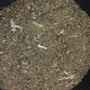 Crystalline Silver Paydirt Bag – .999 Silver, 10g Guaranteed, Up to 31g Possible + Surprises, 6oz Dirt