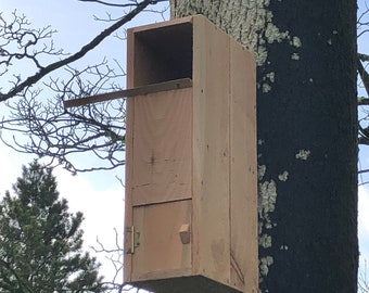 Large Tawny Owl Nesting Box with Perch