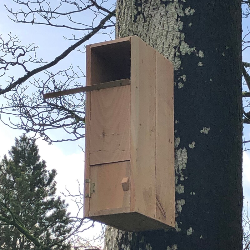 Barn Owl House Nesting Box - 3/4" Solid Cedar Owl Home For Barred, Great Horned & Other Owls