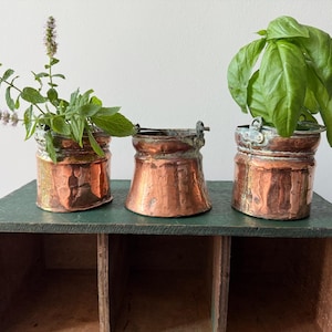 May include: Three small, cylindrical copper pots with metallic handles and a hammered texture. Two of the pots contain green plants, one with mint sprigs and the other with basil leaves, while the centre pot remains empty and shows signs of patina.