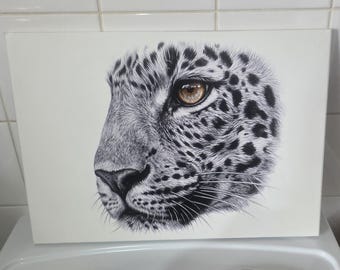 iNgwe - canvas mounted on MDF board
