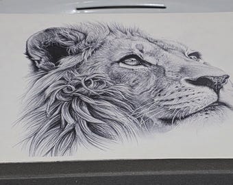 Lion canvas print