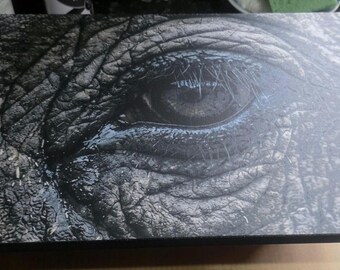 Ndlovu - canvas mounted on MDF board