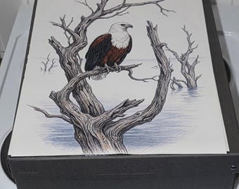 Fish Eagle canvas print