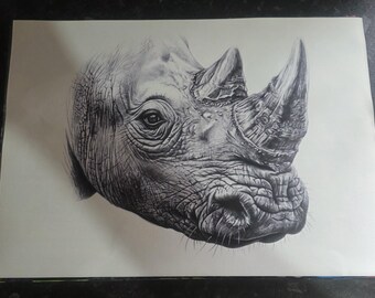 Rhino - Canvas Print