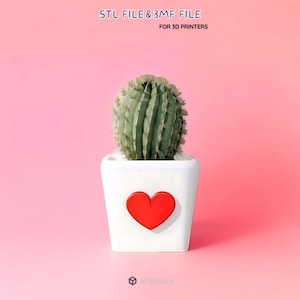 Heart Cactus Planter 3D Print Stl File