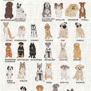 Puede incluir: Un p&oacute;ster ilustrado con diversas razas de perros, incluyendo Dachshund de pelo largo, Malamute, Malt&eacute;s, Maltipoo y Mastiff. Cada perro est&aacute; representado con el nombre de su raza debajo.