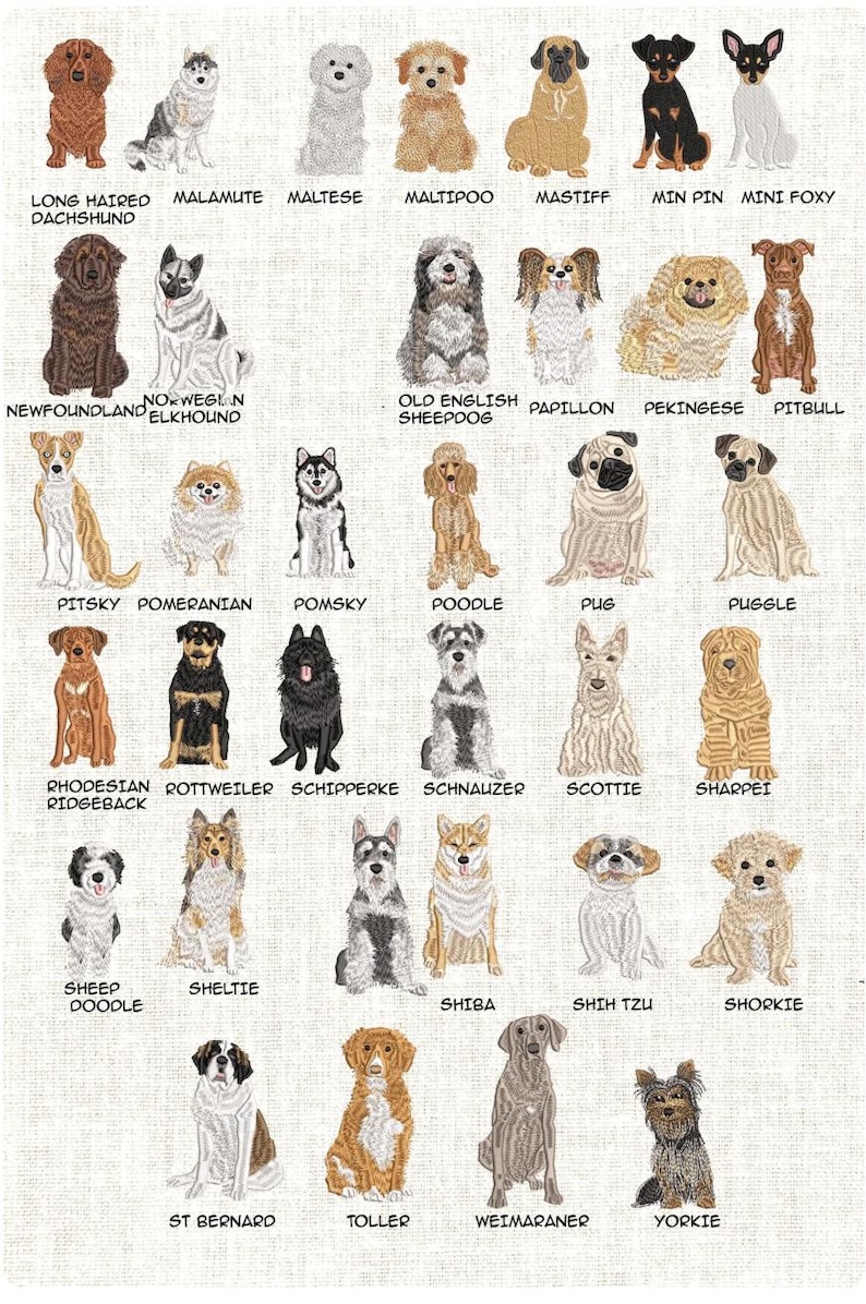 Puede incluir: Un p&oacute;ster ilustrado con diversas razas de perros, incluyendo Dachshund de pelo largo, Malamute, Malt&eacute;s, Maltipoo y Mastiff. Cada perro est&aacute; representado con el nombre de su raza debajo.