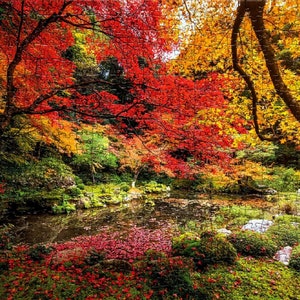Jigsaw Puzzle 1000 Pieces, Puzzle Gift, Jigsaw Puzzle, Picture Puzzle, Photo Puzzle for Mom, Seasonal Fall, Gift for Mom, Puzzle for Adult