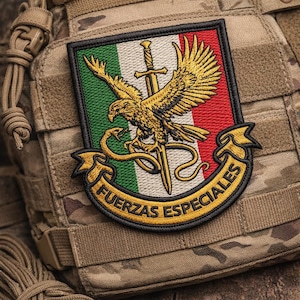 MW FUERZAS ESPECIALES Patch