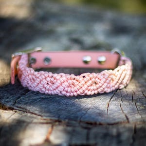 20-32,5cm blush pink boho collar for small dogs, paracord dog collar, biothane leash, macrame dog collar, birthday gift for dog mom