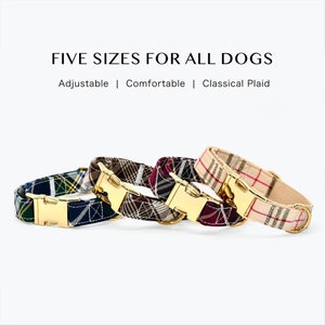 May include: Five plaid dog collars with gold buckles. The collars are adjustable and comfortable.  "FIVE SIZES FOR ALL DOGS" and "Adjustable | Comfortable | Classical Plaid" are written above the collars.