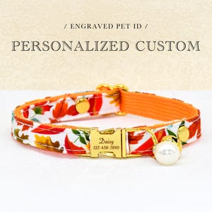 May include: A personalized pet collar with a fall leaf pattern. The collar has a gold-colored buckle and hardware, with the name "Daisy" and a phone number engraved on the buckle. A white pearl charm hangs from the collar.