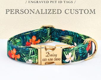 May include: A green, orange, and white tropical print dog collar with a gold buckle and a personalized engraved tag that reads "Daisy 123-456-7890".