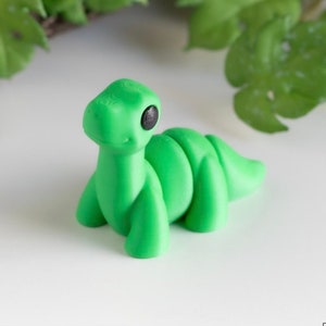 Articulated 3D Printed Keychains Animals | Dinosaur, turtle, bear, hippo, Flexi, keyring, gift, art, key chain, key ring, full colour, minis