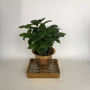 Vintage Brass Trivet, Plant Stand, Copper Kettle Stand, House Plants, Plant Decor