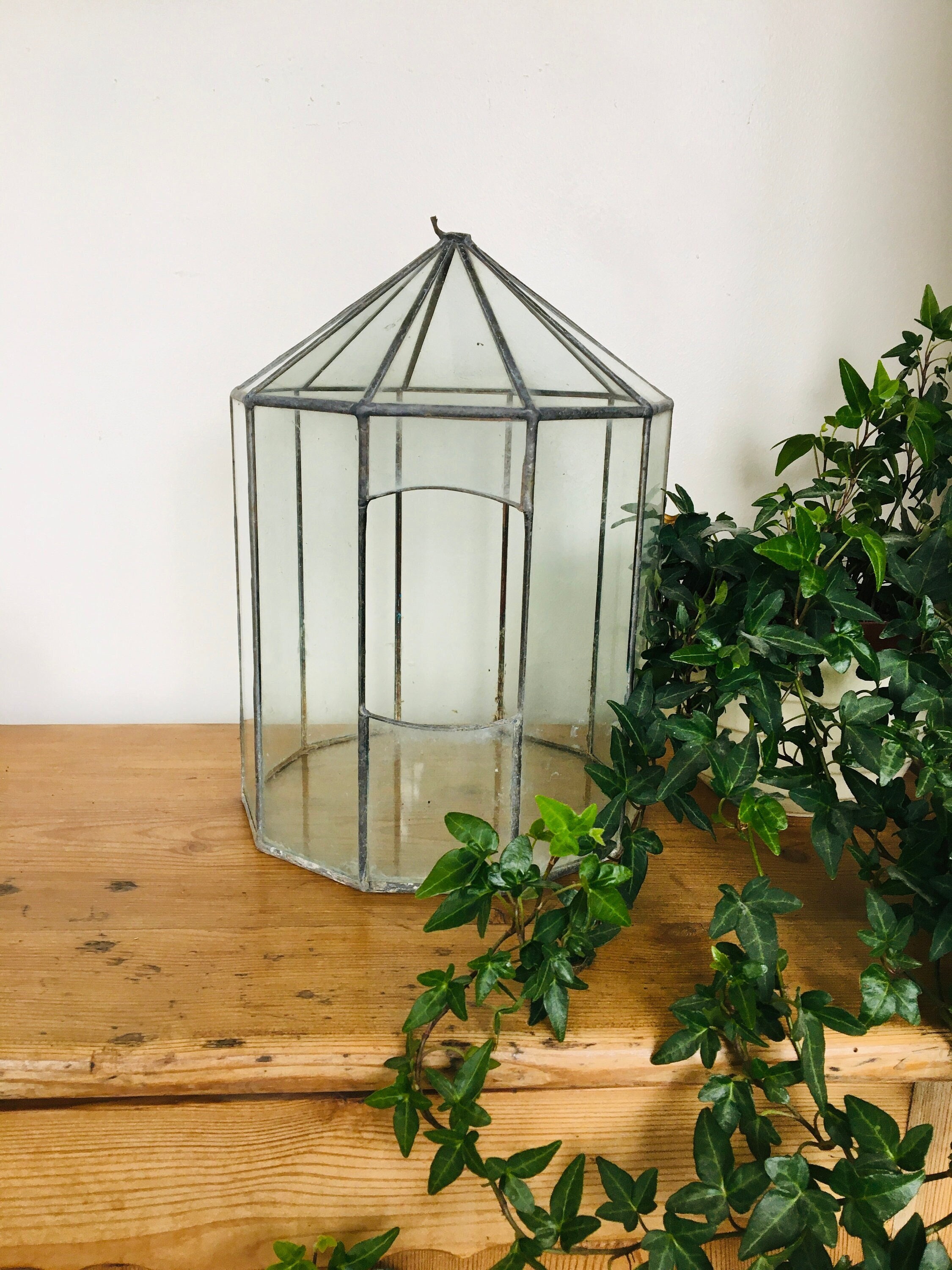 Vintage Terrarium, Indoor Green House, Glass House, House Vintage Terrarium, Indoor Green House, Glass House, House