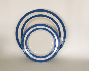 Vintage T.G Green Large & Small plate Blue and White Stripe, Cornish Ware, Judith Onions 1960s