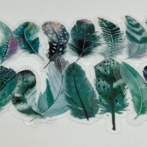 20/40 Transparent Green Feather Sticker, Clear Transparent Feather Decal for Mirror, Bird Feather, Journal, Card,Scrapbook Project Material