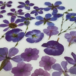 Paquete de pegatinas de vinilo 20/40 con flores secas de color morado, ramo floral transparente, copos de pegatinas, floristería, diario, manualidades, álbumes de recortes