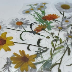 20/40 autocollant marguerite blanc jaune transparent vinyle imperméable pour ordinateur portable Kindle décoration esthétique réel comme une fleur plus malade pour artisanat bricolage