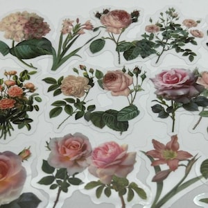 Adesivo rosa rosa trasparente 20/40, fiore rosa essiccato, adesivi mazzo di fiori rosa, set di adesivi trasparenti per diario, idea per album di ritagli