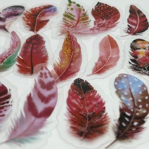 Autocollants plumes transparents 20/40, autocollants panache, vinyle rouge transparent imperméable à l'eau, décalcomanies plumes transparentes pour ordinateur portable, création de cartes, fournitures DIY