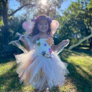 Fairy Tutu Costume, Girls Fairy Dress Up Dress, Holiday Fairy Costume Dress