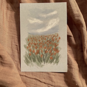 Postkarte Tulpenfeld