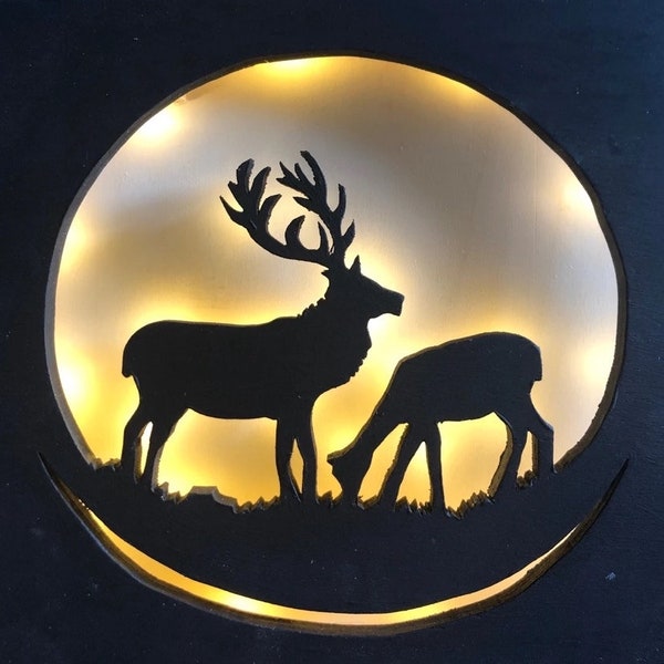 Night light deer and roe deer