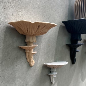 Amanita Fungus Mushroom Shelf | Floating Shelf | Standard Matte Decor | 20 Colors Available