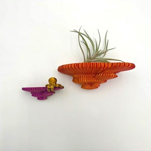 Shimmering Tinder Fungus Mushroom Shelf | Floating Shelf | 6 Colors Available