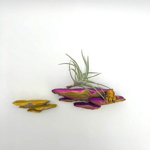 Shimmering Ostrea Fungus Mushroom Shelf | Floating Shelf | 6 Colors Available