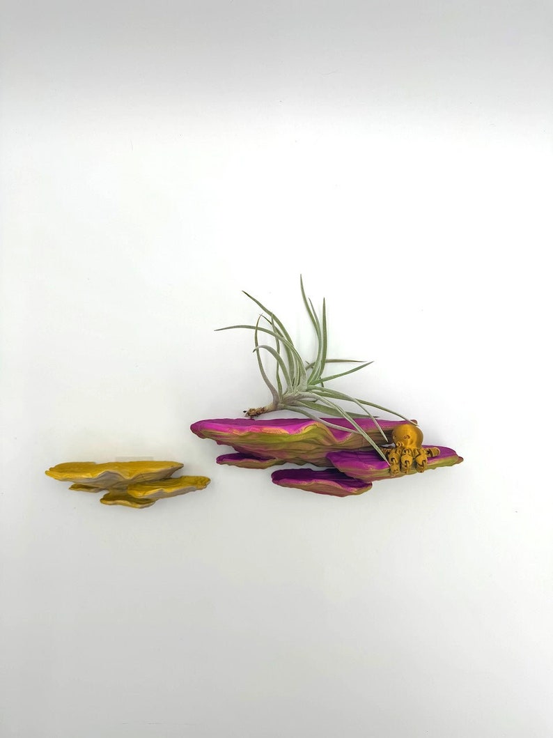 Shimmering Ostrea Fungus Mushroom Shelf | Floating Shelf | 6 Colors ...