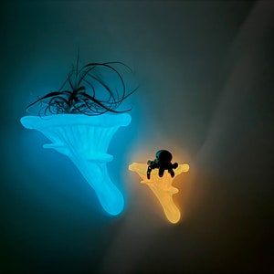 Glowing Oyster Fungus Mushroom Shelf | Floating Shelf | 5 Colors Available